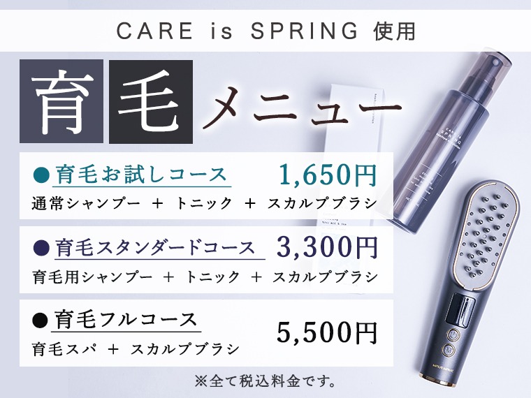 【CARE is SPRING使用】育毛メニュー登場！